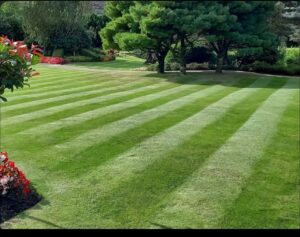 Work by Larivista Landscapes