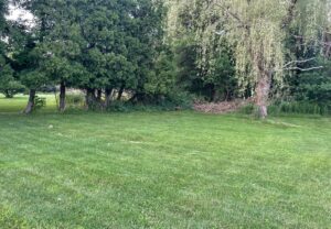 Work by Larivista Landscapes