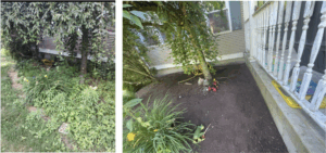 Work by Larivista Landscapes