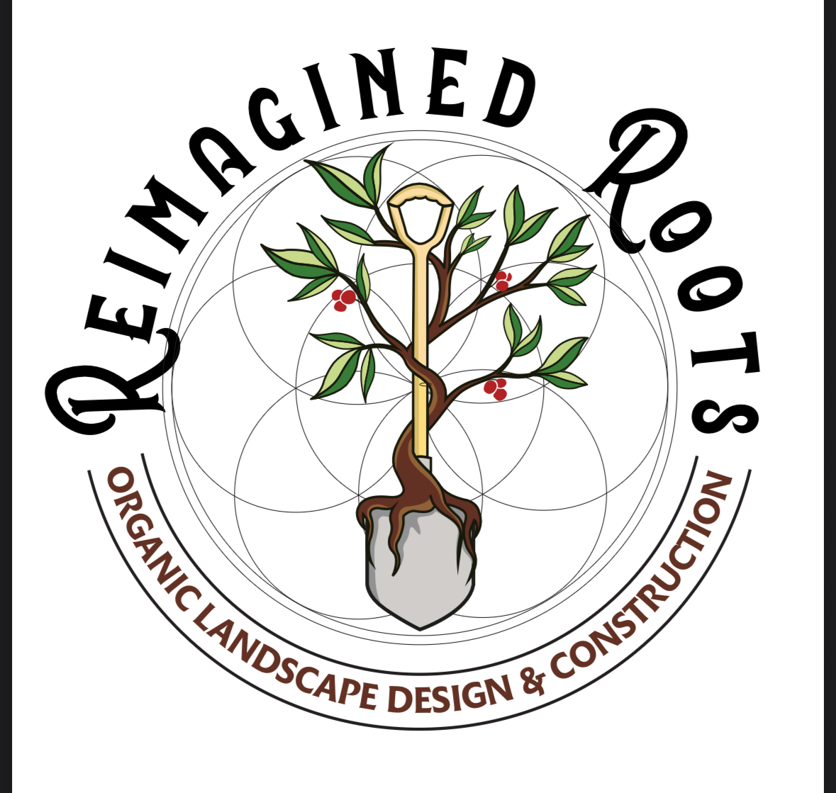 Reimagined Roots