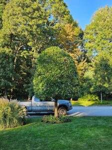 Work by Eden Climber Landscaping LLC