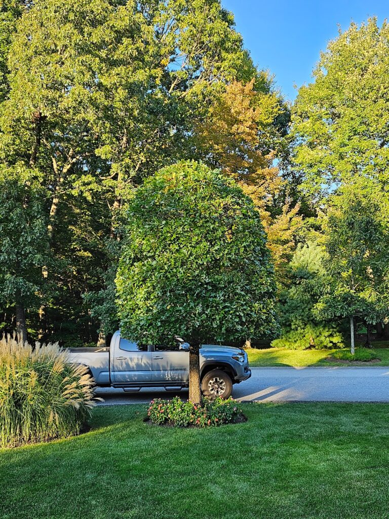 Gallery image - work by Eden Climber Landscaping LLC in Providence, RI