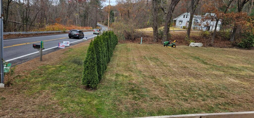 Gallery image - work by Eden Climber Landscaping LLC in Providence, RI
