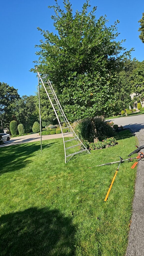 Gallery image - work by Eden Climber Landscaping LLC in Providence, RI