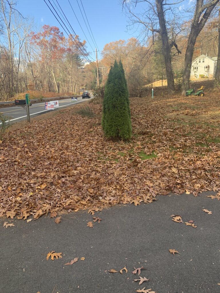 Gallery image - work by Eden Climber Landscaping LLC in Providence, RI