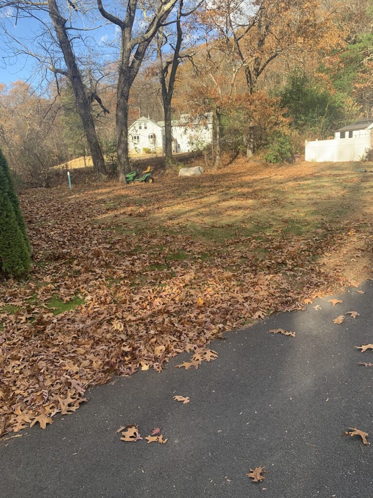 Gallery image - work by Eden Climber Landscaping LLC in Providence, RI