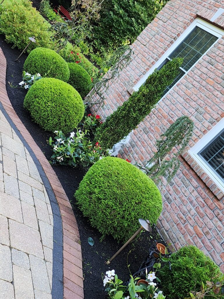 Gallery image - work by Eden Climber Landscaping LLC in Providence, RI