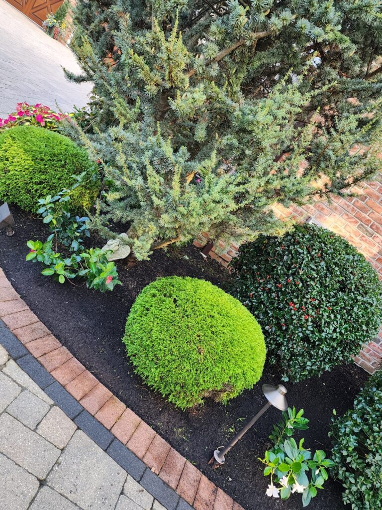 Gallery image - work by Eden Climber Landscaping LLC in Providence, RI