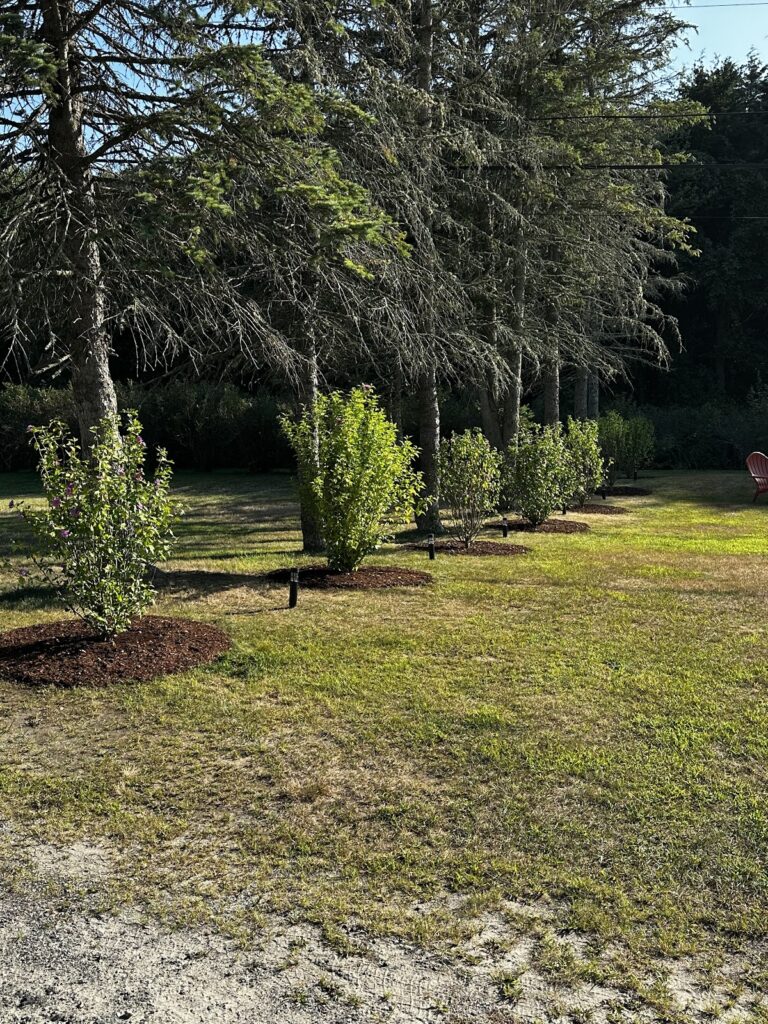 Gallery image - work by Total Lawn Care and Construction LLC in Wakefield, RI