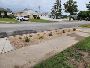 Work by Reynaldo Landscape Inc.