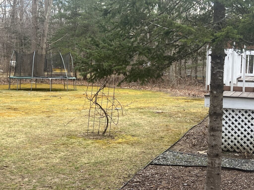 Gallery image - work by NRI Landscaping Inc in Cumberland, RI