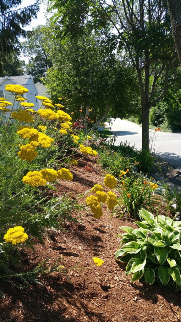 Gallery image - work by NRI Landscaping Inc in Cumberland, RI
