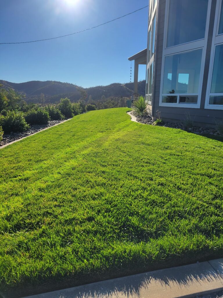 Gallery image - work by Landscape Solutions in Redding, CA