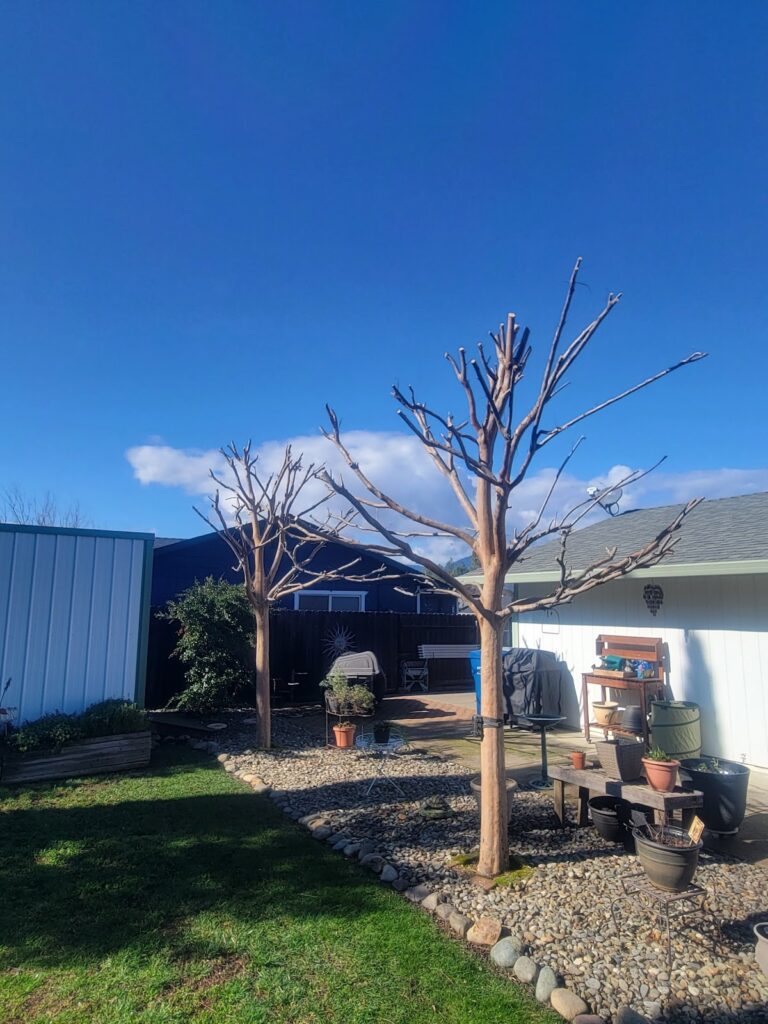 Gallery image - work by Landscape Solutions in Redding, CA
