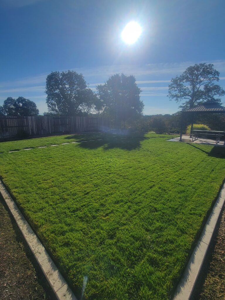 Gallery image - work by Landscape Solutions in Redding, CA
