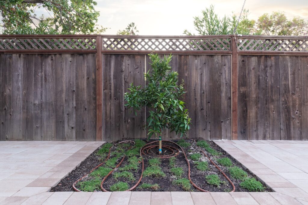 Gallery image - work by Opulands Landscape Design & Construction in Campbell, CA