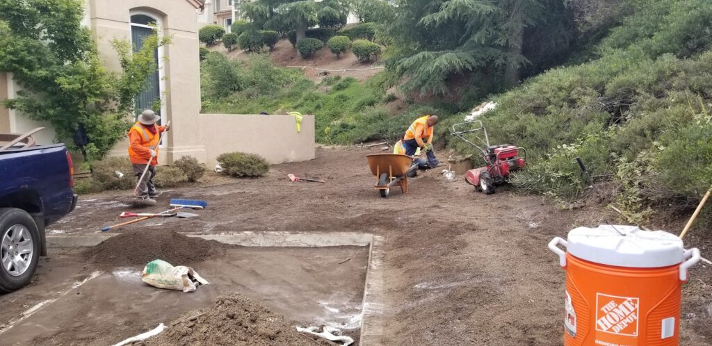 Gallery image - work by LunaBella Tree Svc & Landscape LLC in Los Angeles, CA