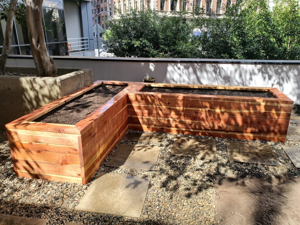 Gallery image - work by LunaBella Tree Svc & Landscape LLC in Los Angeles, CA