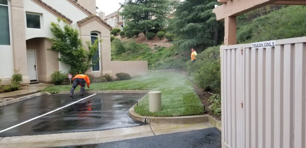 Gallery image - work by LunaBella Tree Svc & Landscape LLC in Los Angeles, CA