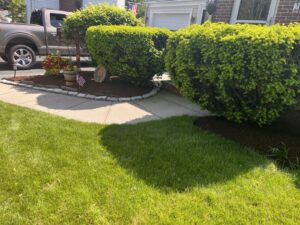 Work by Whittier Landscape