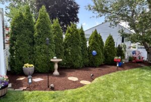 Work by Whittier Landscape