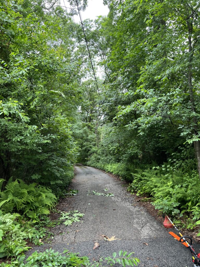 Gallery image - work by Whittier Landscape in North Kingstown, RI