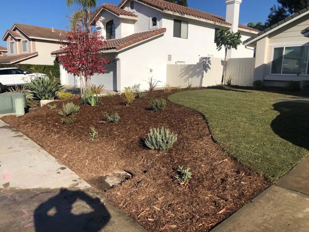 Gallery image - work by Le Perv Landscape Inc in San Diego, CA