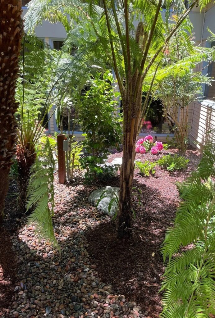 Gallery image - work by Le Perv Landscape Inc in San Diego, CA