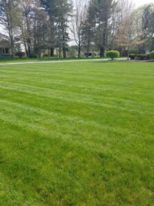 Work by J&D Landscaping & Lawn Care Inc.