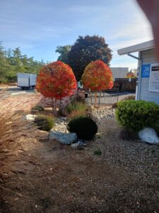 Work by Guzman Landscaping maintenance