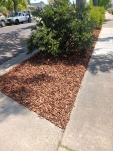 Work by Guzman Landscaping maintenance