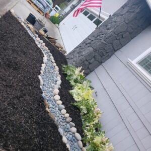 Work by Guzman Landscaping maintenance