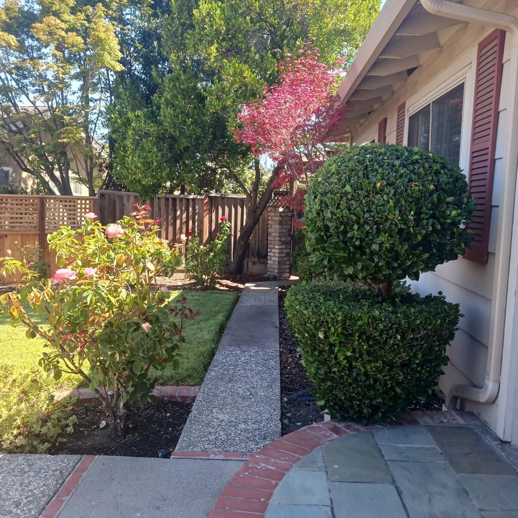 Gallery image - work by Guzman Landscaping maintenance in San Jose, CA