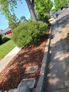 Work by Guzman Landscaping maintenance