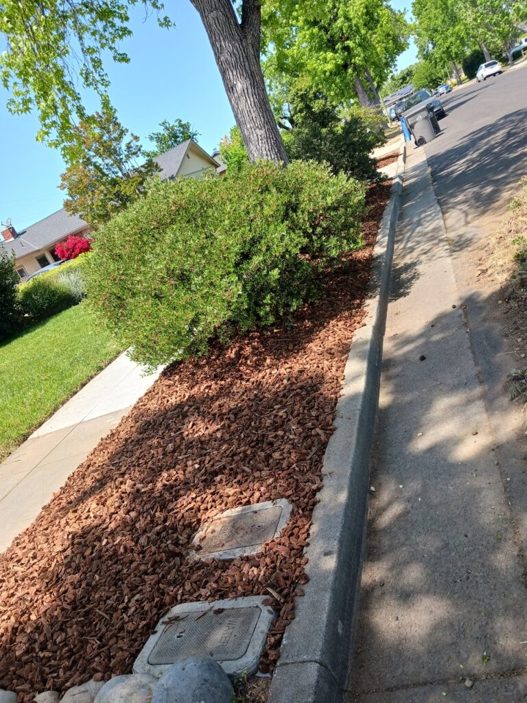 Gallery image - work by Guzman Landscaping maintenance in San Jose, CA