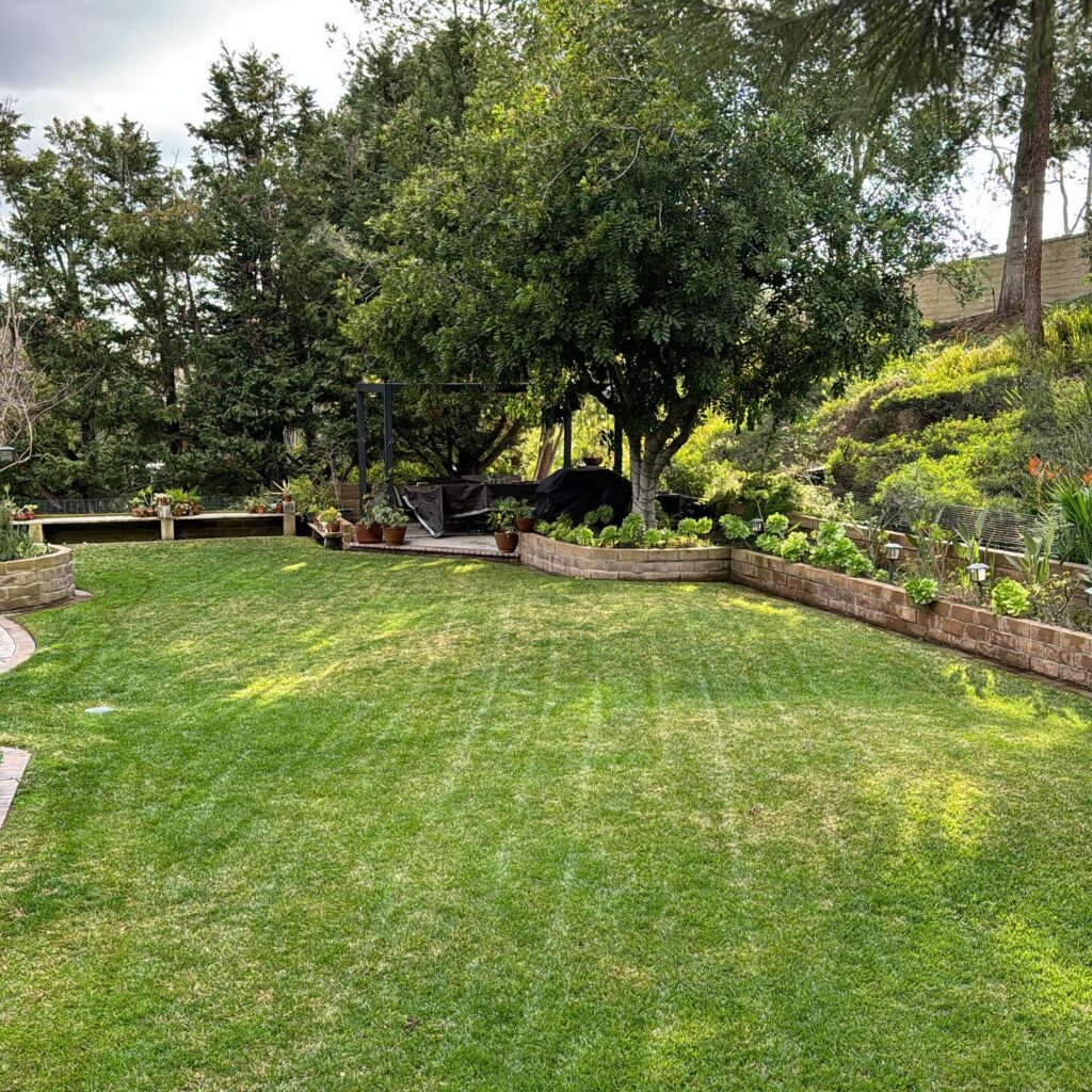 Gallery image - work by Luis Hernandez Landscaping in Anaheim, CA