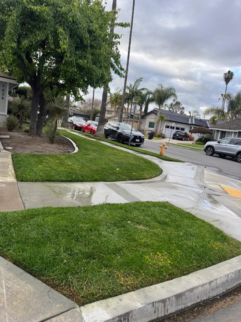 Gallery image - work by Luis Hernandez Landscaping in Anaheim, CA