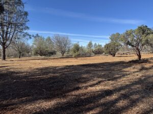 Work by JDL Vegetation and Brush Clearing
