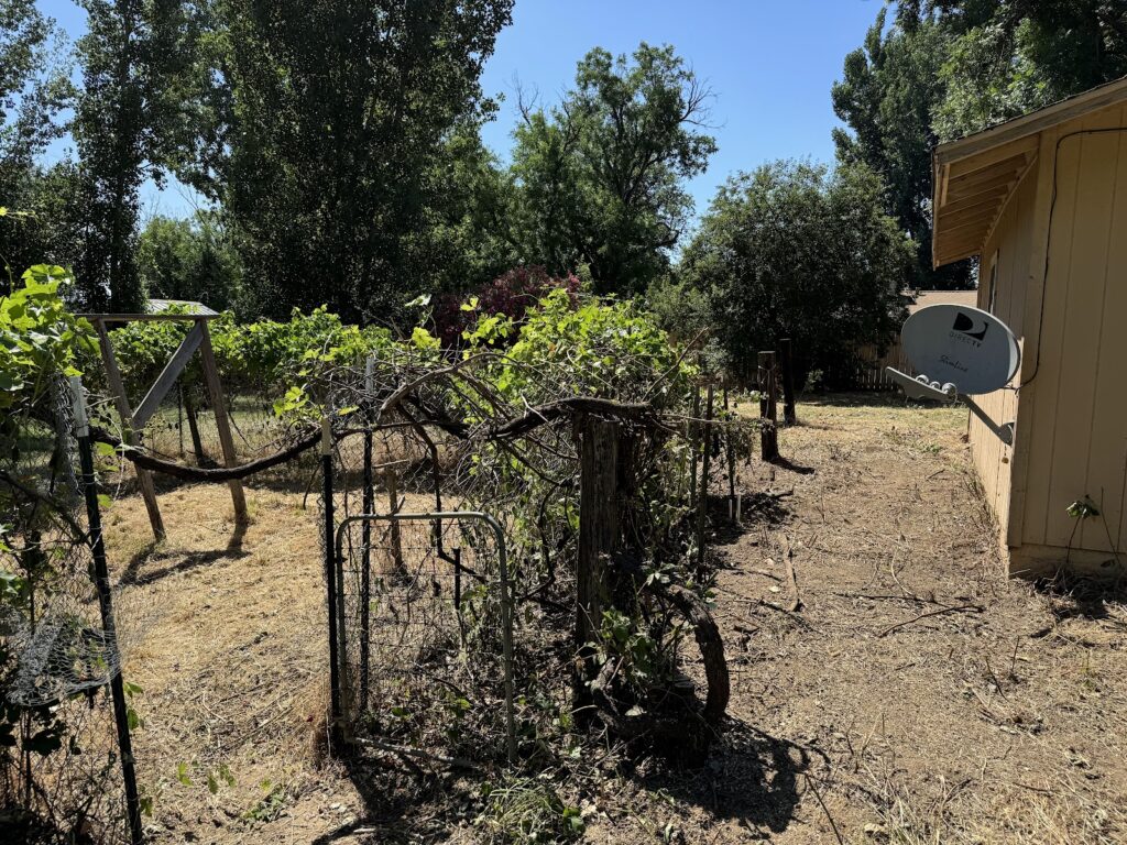 Gallery image - work by JDL Vegetation and Brush Clearing in Redding, CA