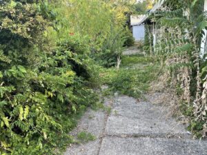 Work by JDL Vegetation and Brush Clearing