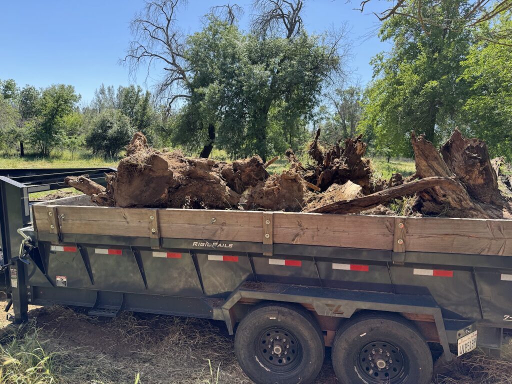 Gallery image - work by JDL Vegetation and Brush Clearing in Redding, CA