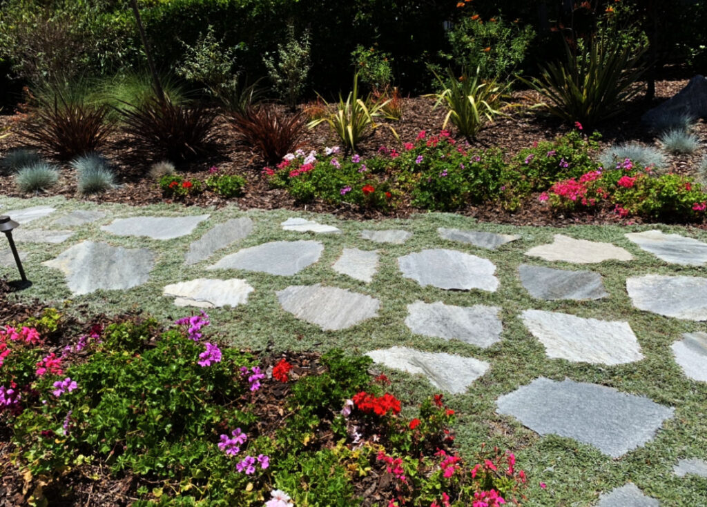 Gallery image - work by Infinite Sky Landscape Design in San Diego, CA