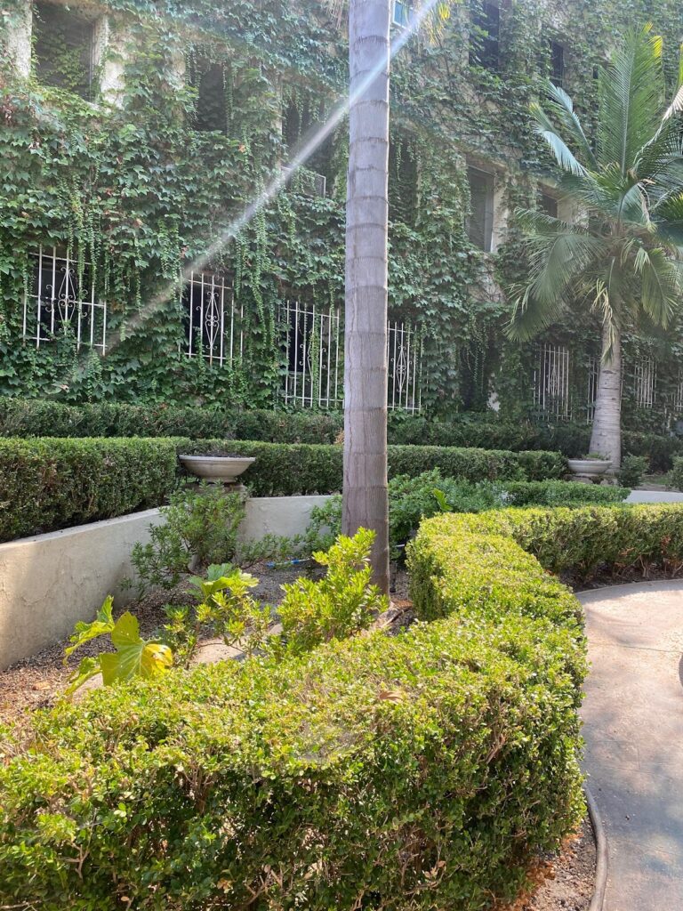 Gallery image - work by Glendale Landscaping in Los Angeles, CA