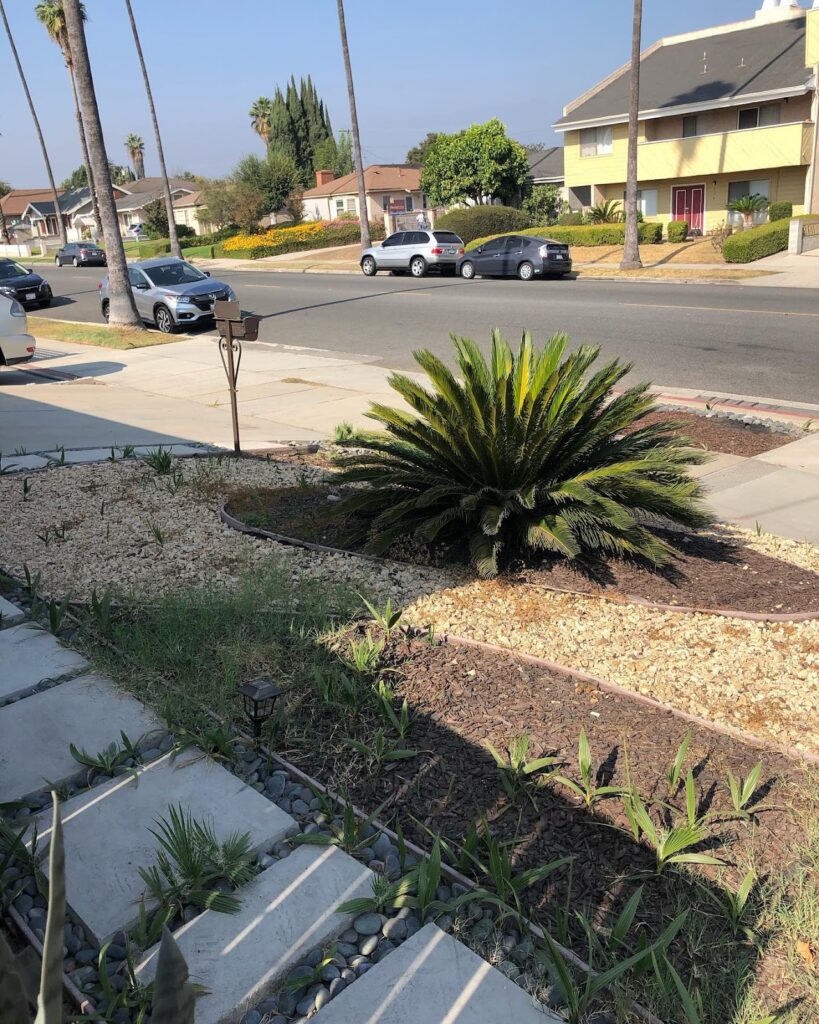 Gallery image - work by Grow Control Landscape in El Monte, CA