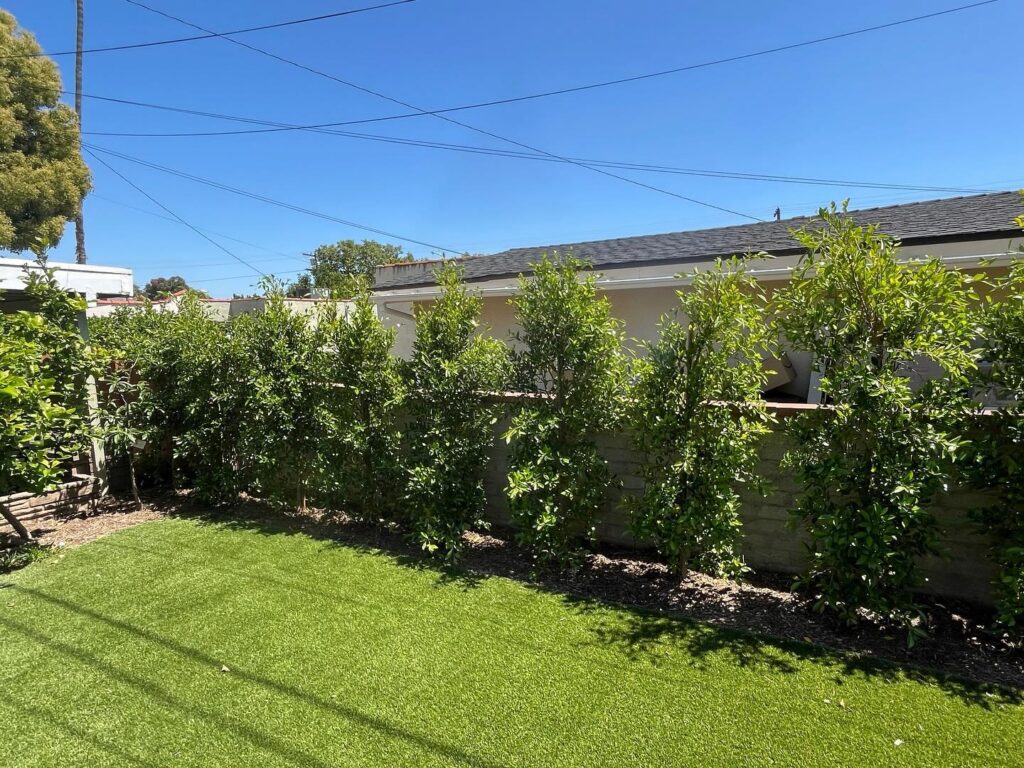 Gallery image - work by Grow Control Landscape in El Monte, CA