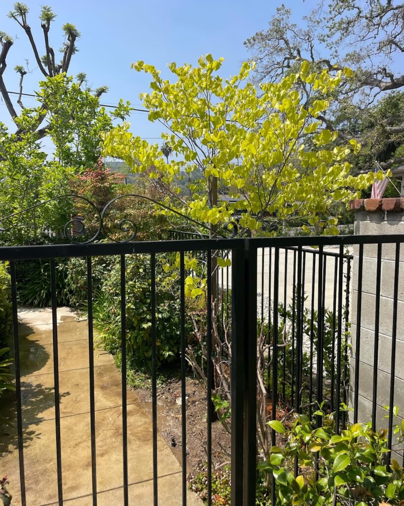 Gallery image - work by Grow Control Landscape in El Monte, CA