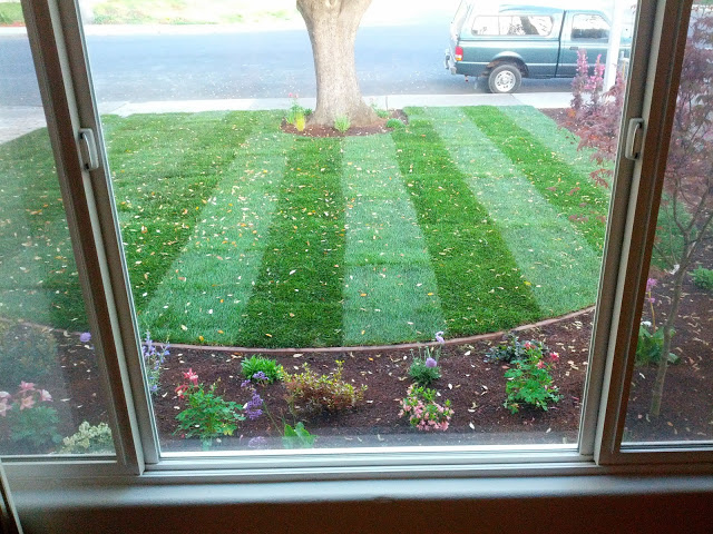 Gallery image - work by Dooling Landscape Service - Landscape Designer - Residential Landscaper in San Jose in San Jose, CA
