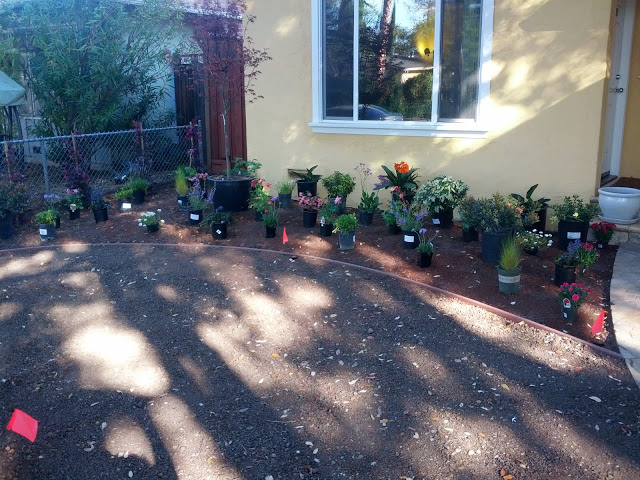 Gallery image - work by Dooling Landscape Service - Landscape Designer - Residential Landscaper in San Jose in San Jose, CA