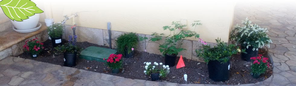 Gallery image - work by Dooling Landscape Service - Landscape Designer - Residential Landscaper in San Jose in San Jose, CA