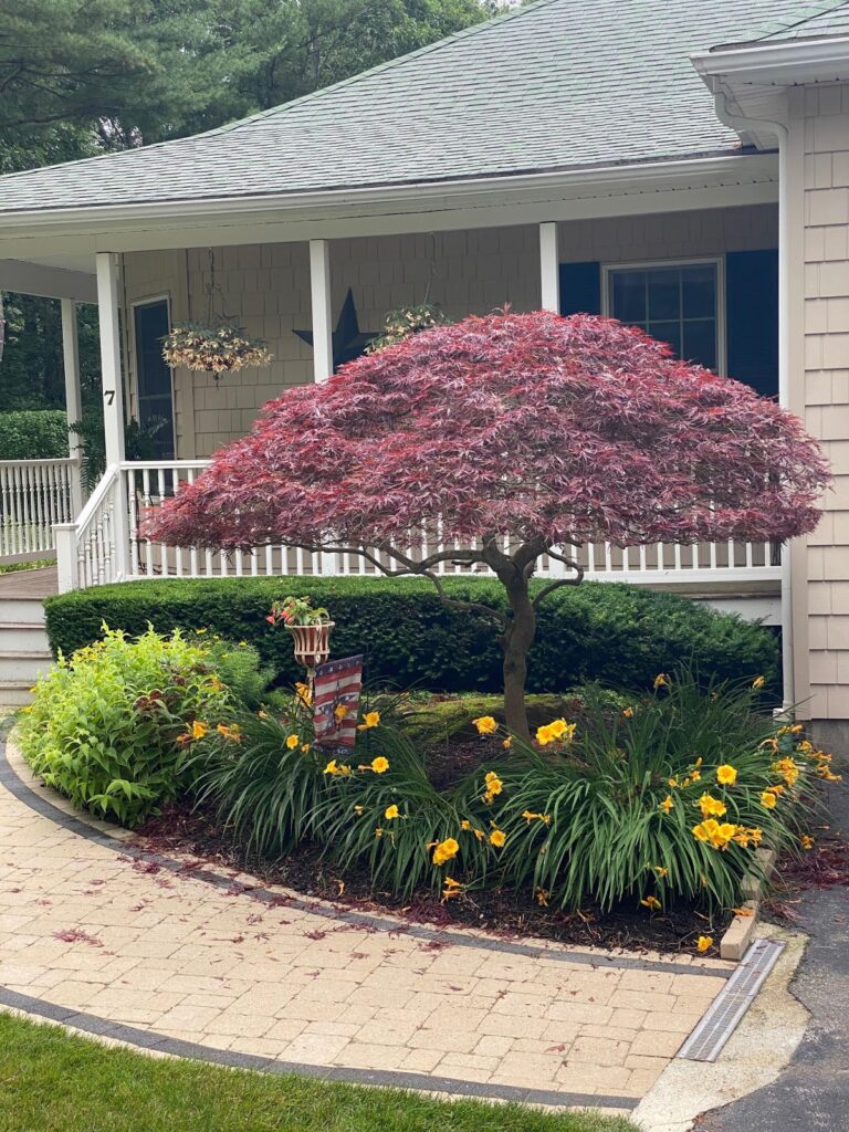 Gallery image - work by Dynamic Landscape in Johnston, RI